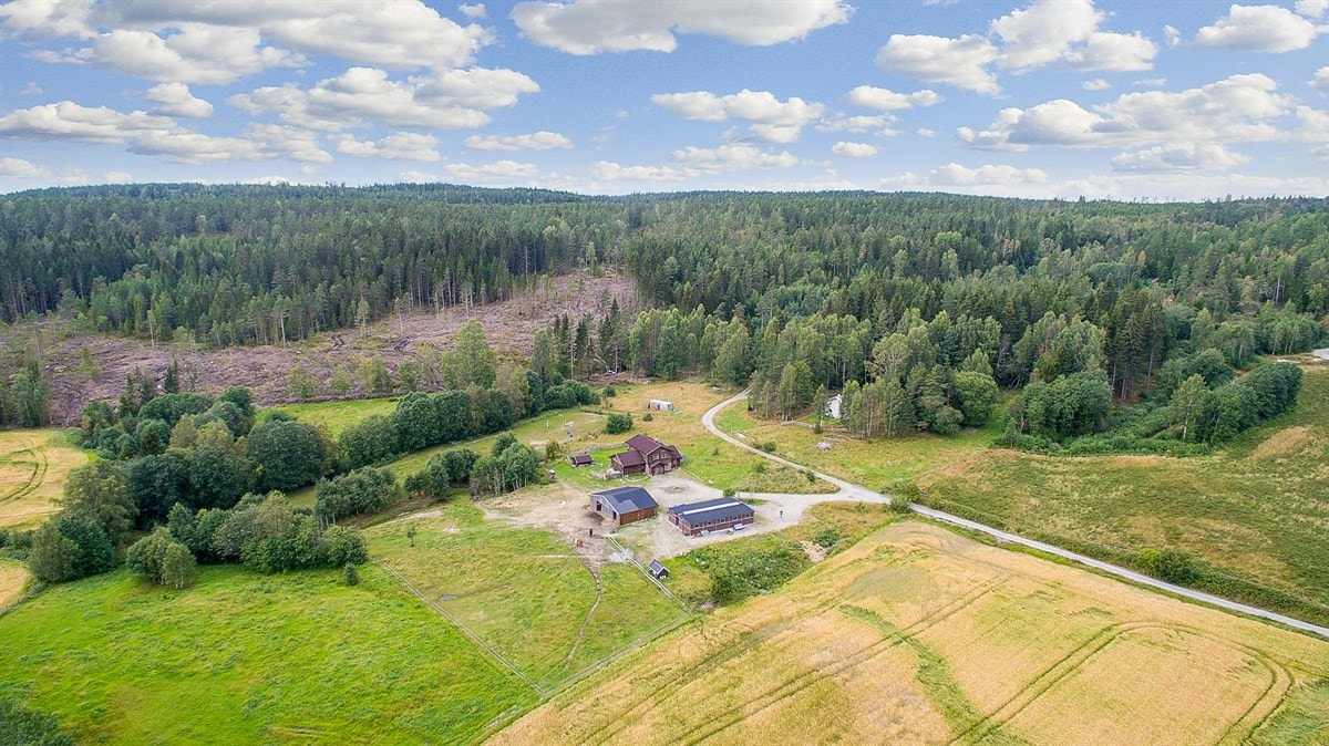 Hele eiendommen sett fra luften, totalt 74 mål Galleribilde