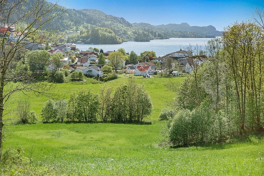 Områdebilde Galleribilde