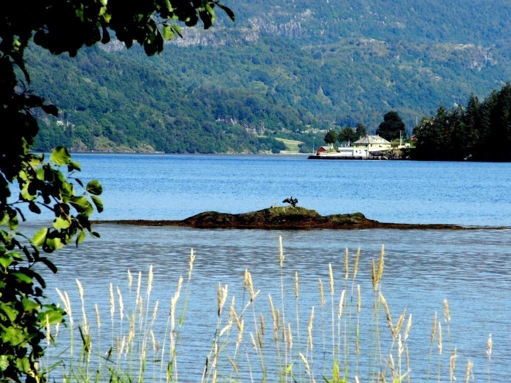 Fjordutsikt fra feltet Galleribilde