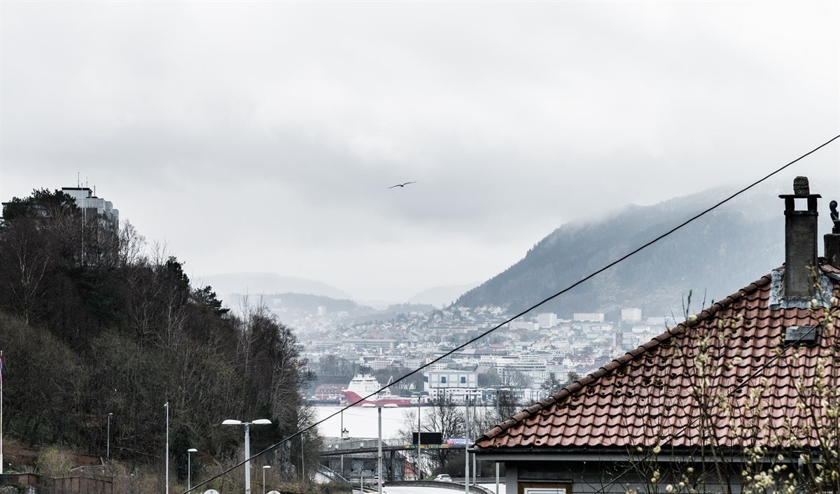 Utsikt over nærområdet. Galleribilde