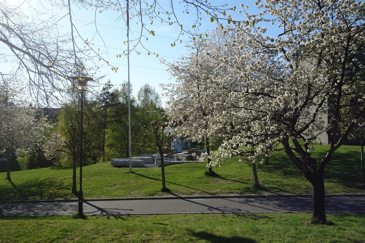Felles grillplass på borettslagets fellesareal Galleribilde