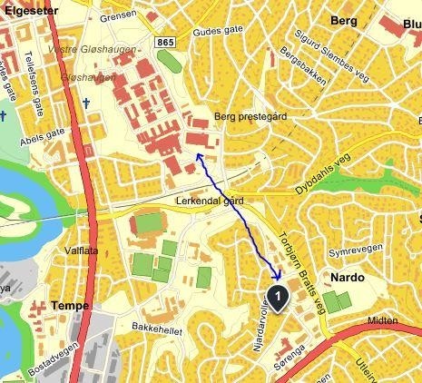 900 m til NTNU Gløshaugen og Handelshøgskolen. Galleribilde