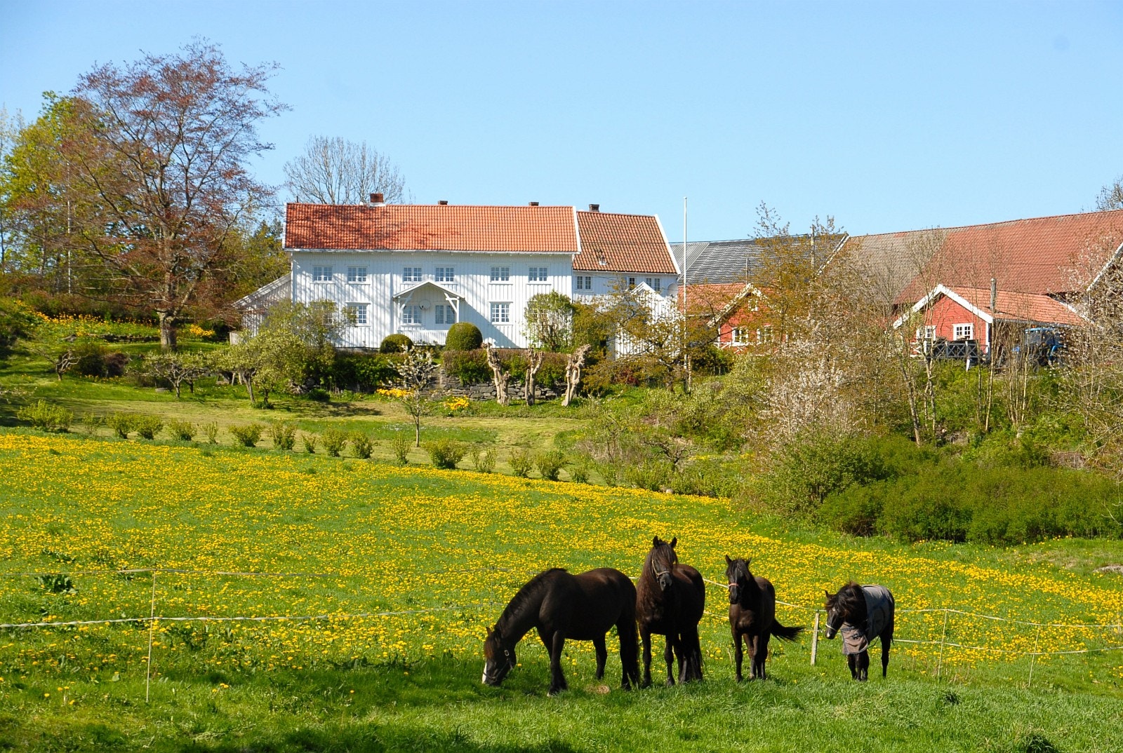 Stendal gård med utsikt ut over dalen. Galleribilde