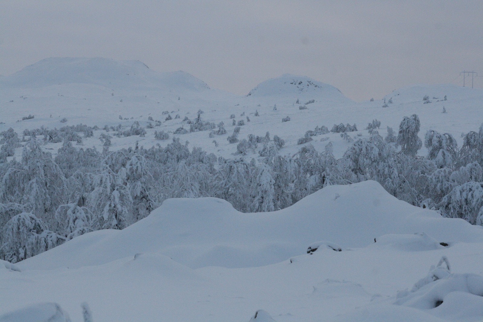Utsikt fra renseanlegget. Galleribilde