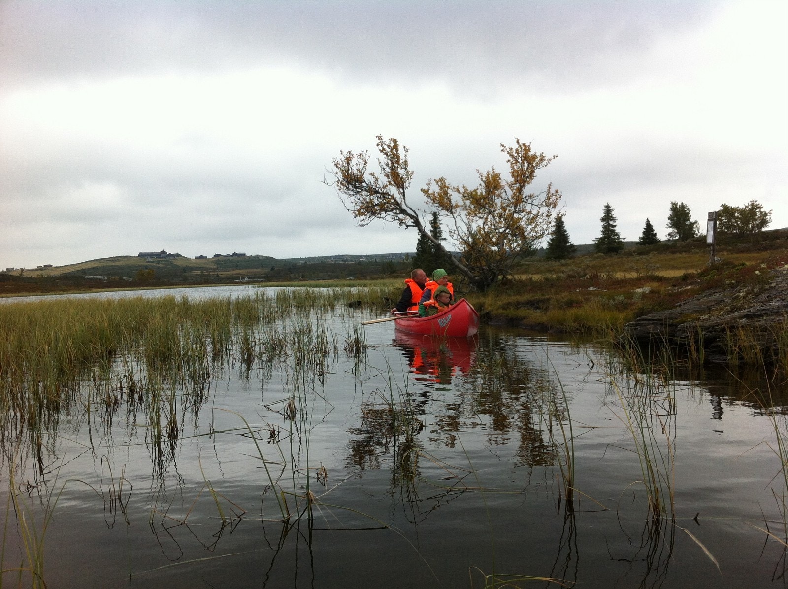 Storgrova nedenfor Fagerhøy Galleribilde