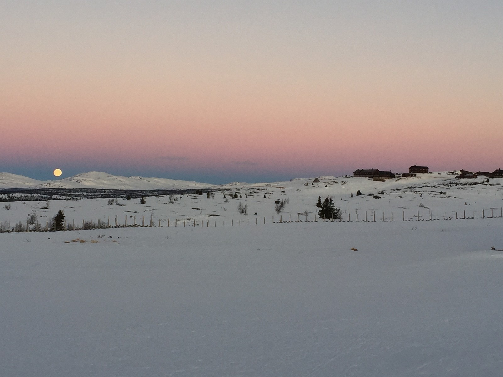 Vinterstemning Galleribilde