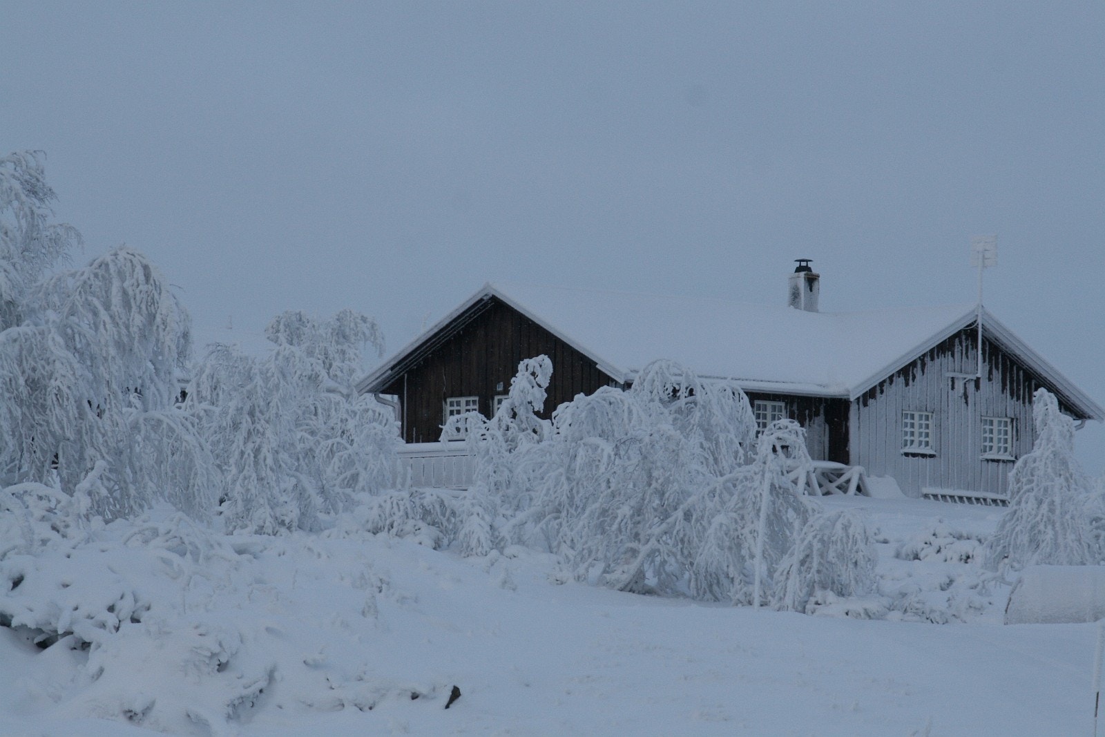 Hytte rett ovenfor renseanlegget Galleribilde