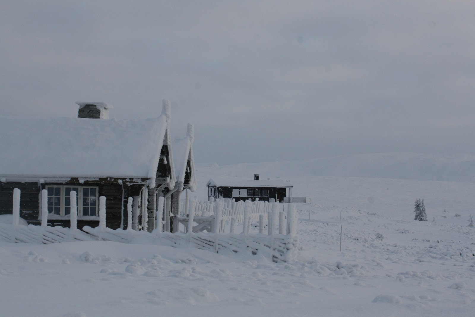 Fra hyttefeltet ved Peer Gynt veien i januar. Galleribilde