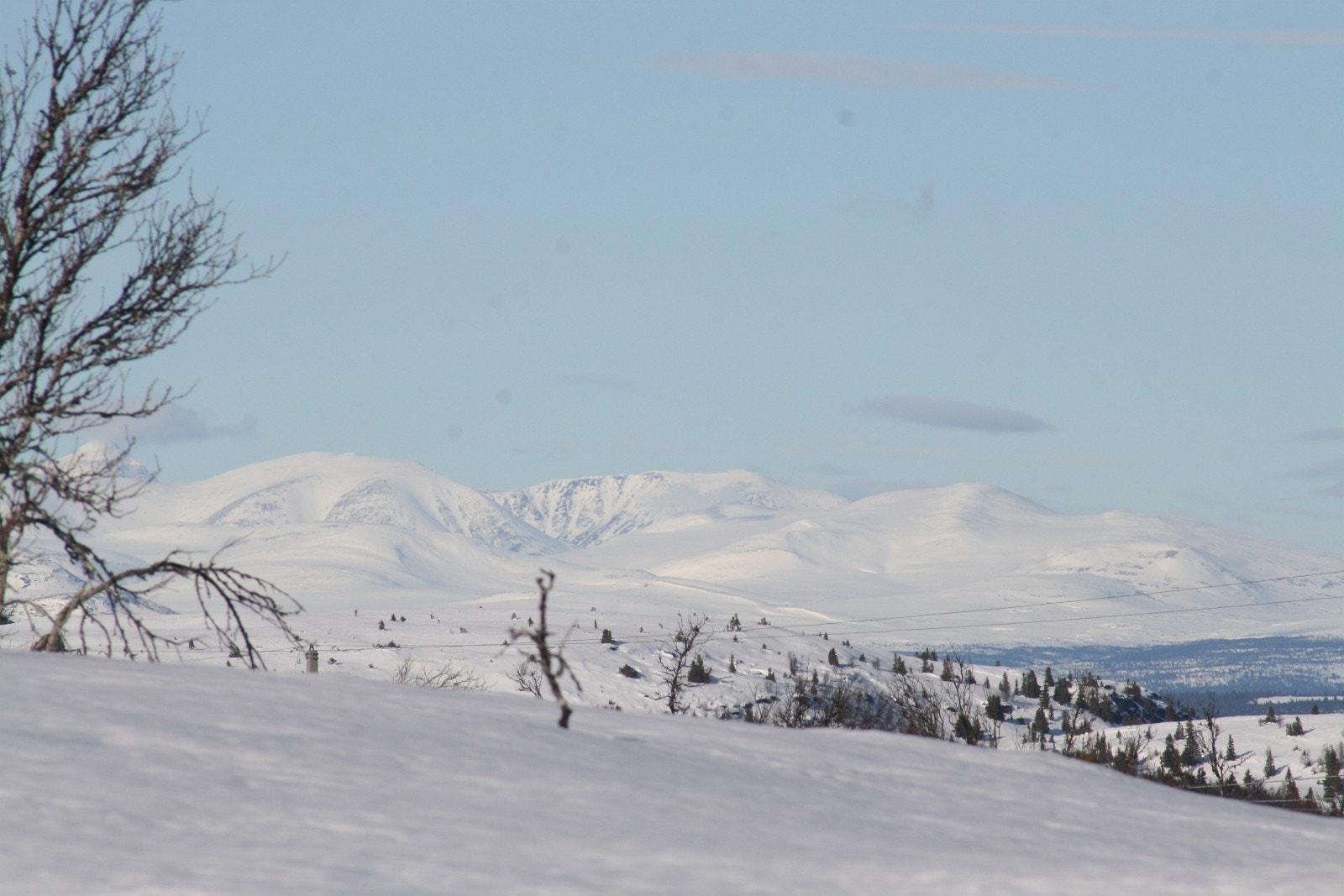 Utsikt fra tomt 13 mot Rondane. Galleribilde