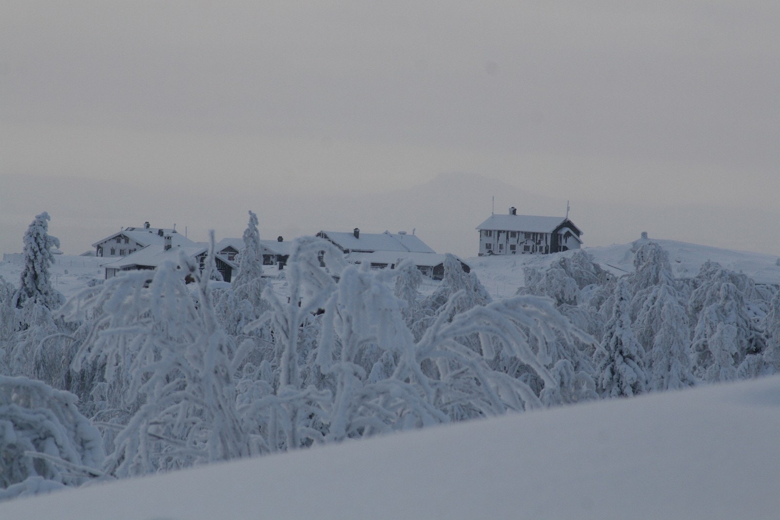 Utsikt mot Fagerhøy fra området ved tomt 24. Galleribilde