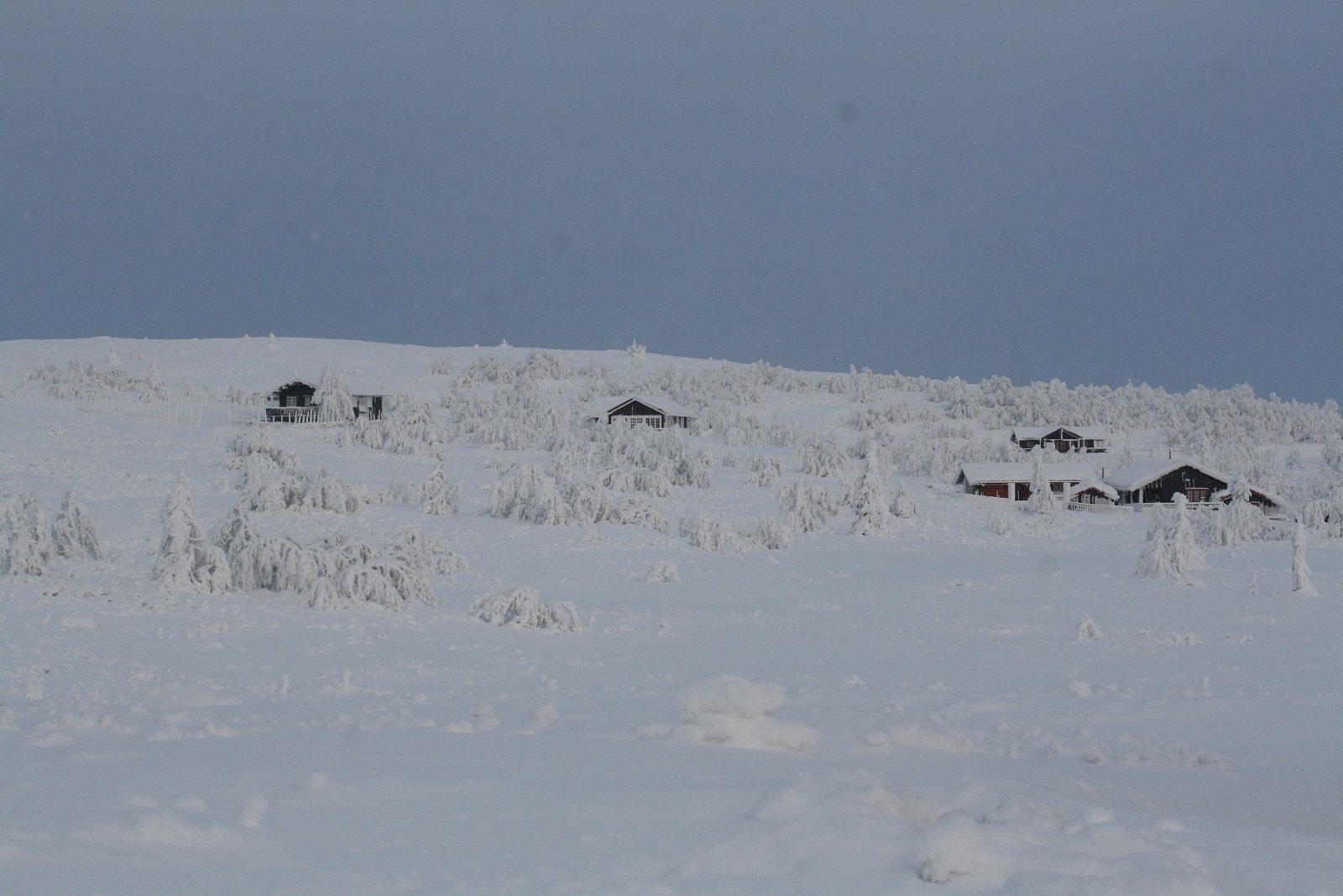 Vinter på Fagerhøy Galleribilde