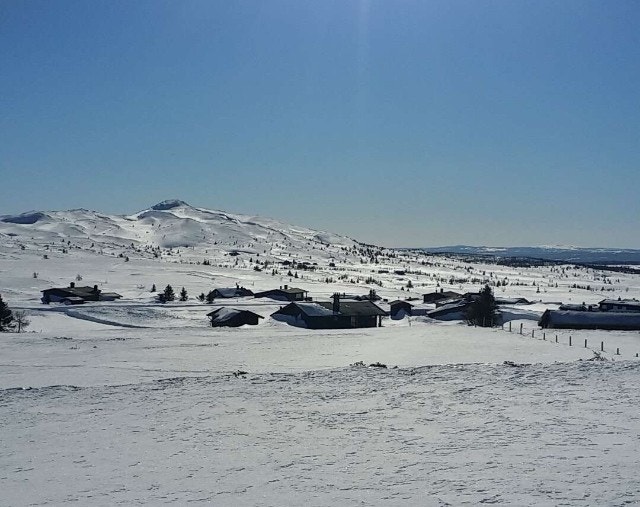 Hyttefeltet mot Dørdalsknappen Galleribilde