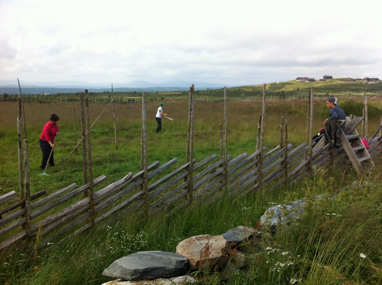 Hesjing på Aanekresetra med Fagerhøy i bakgrunn. Galleribilde