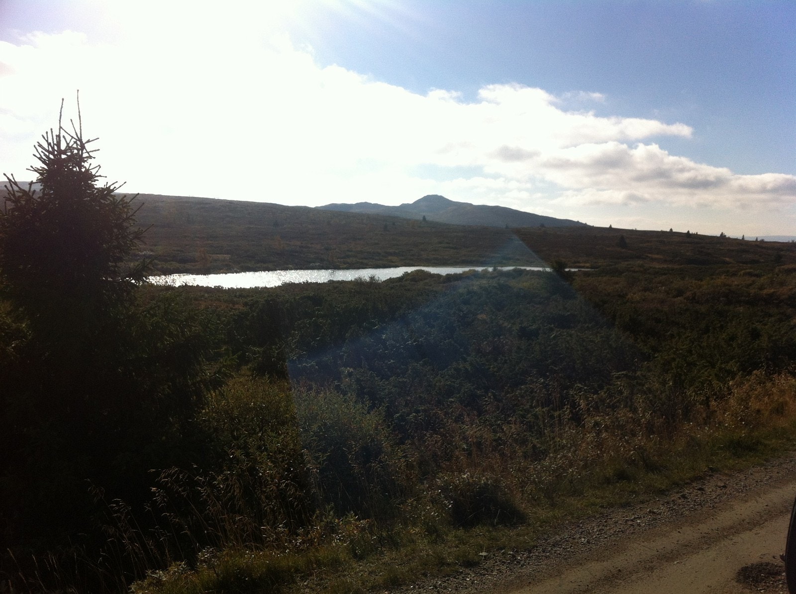 Tapptjern mot Dørdalsknappen. Galleribilde