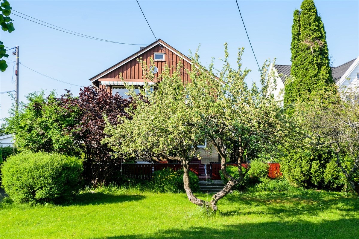 Hage med frukttrær Galleribilde