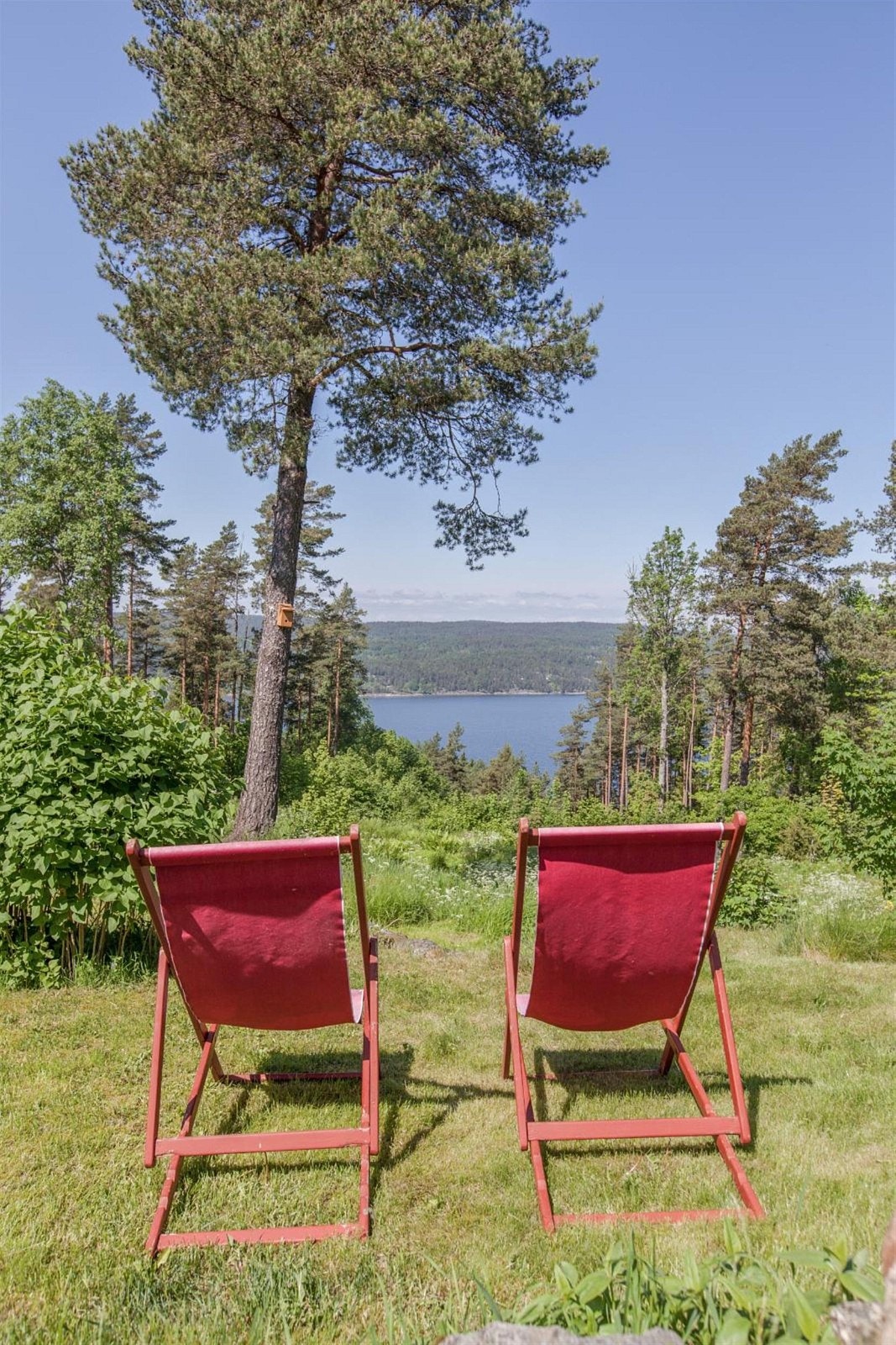 Utsikt fra tomten. Galleribilde