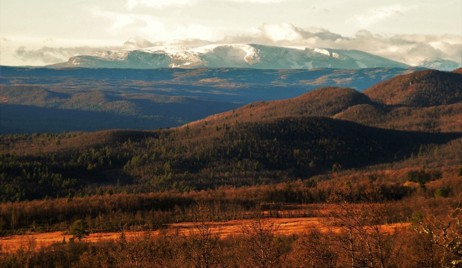 UTSIKT FRÅ TOMTENE. Galleribilde