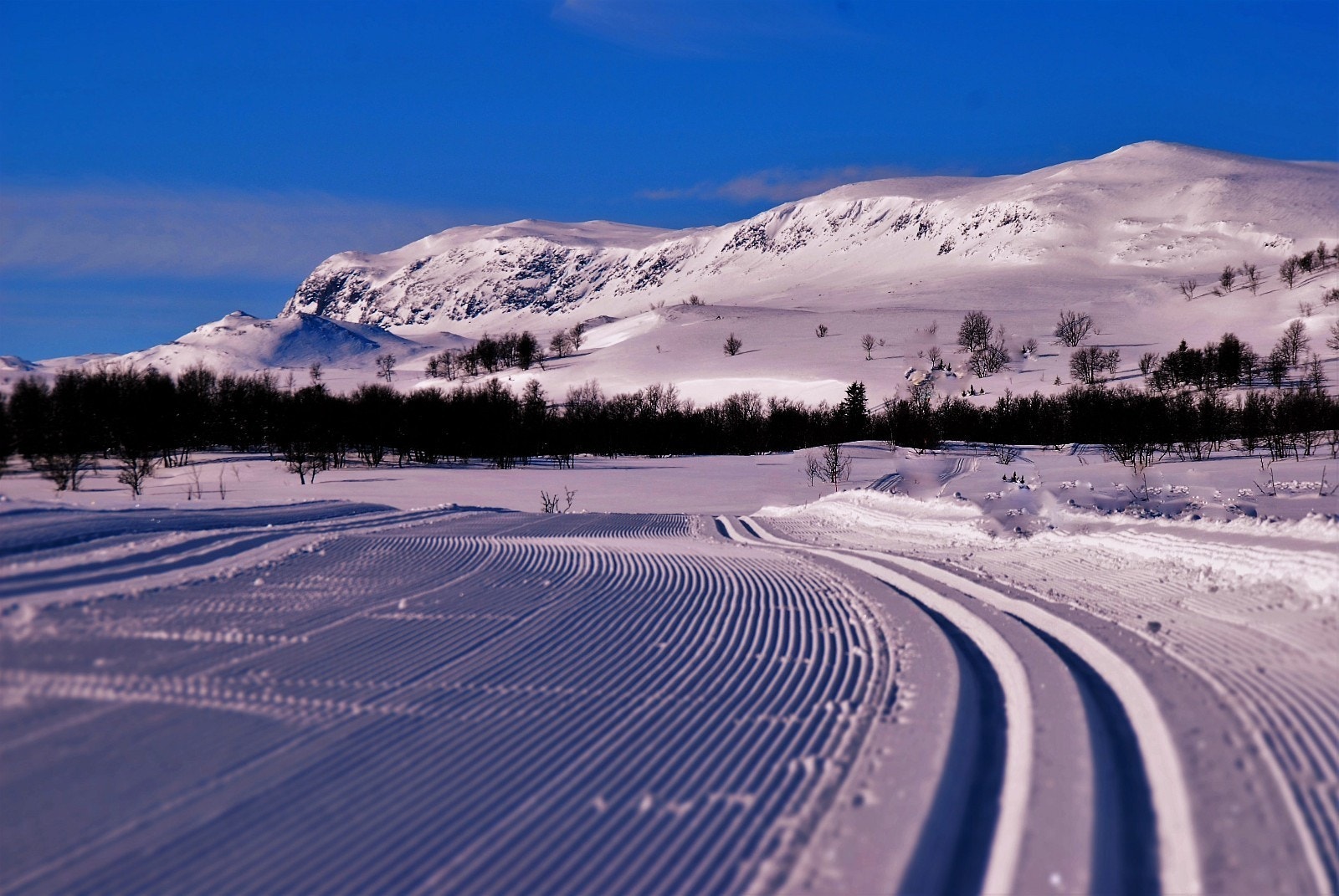 TOMTENE I LEVELDÅSEN LIGG NÆRAST FJELLREKKA I ÅL, MIDT I DET FLOTTE LØYPENETTET I KOMMUNEN. Galleribilde
