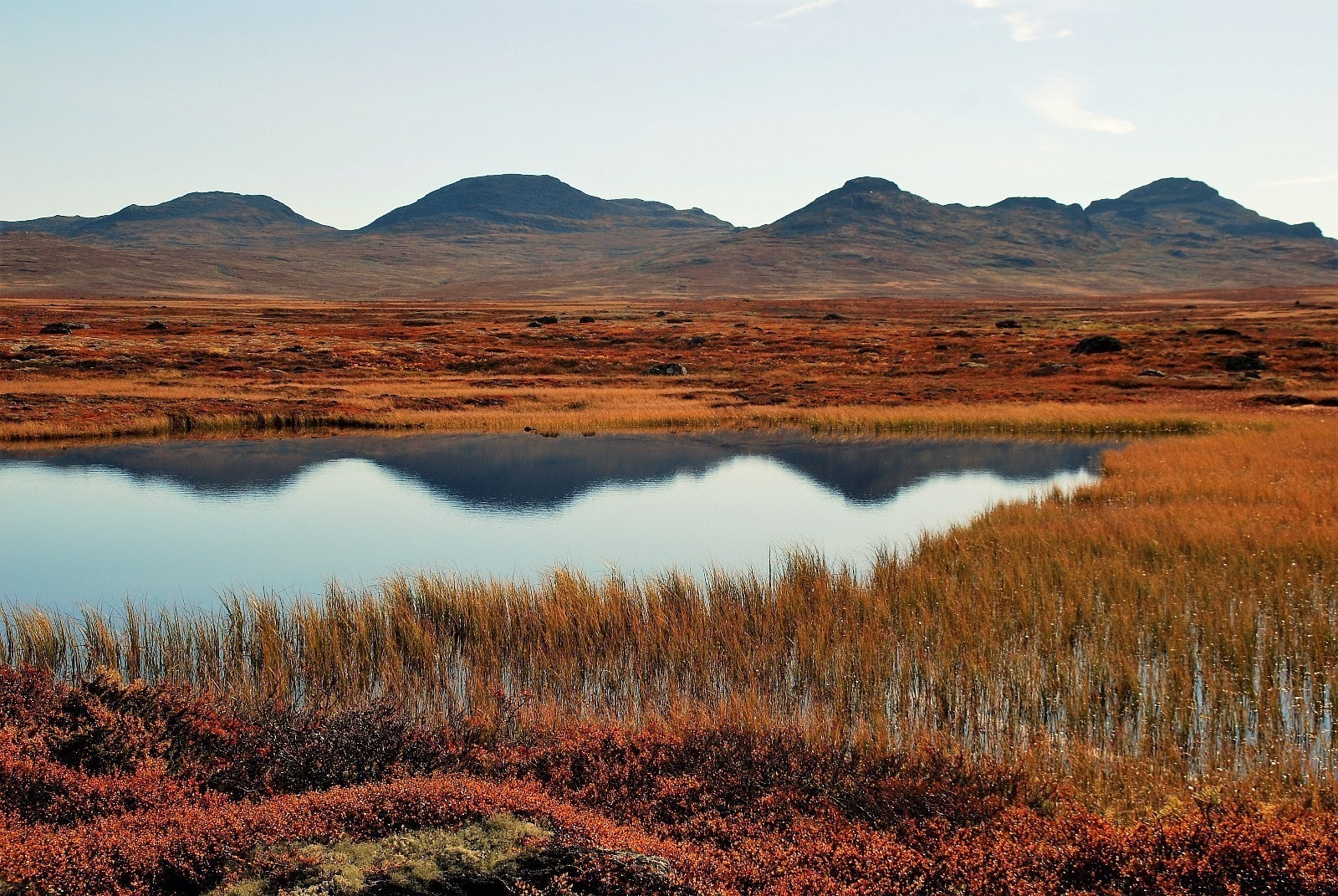 HAUSTSTEMNING I NÆROMRÅDET. Galleribilde