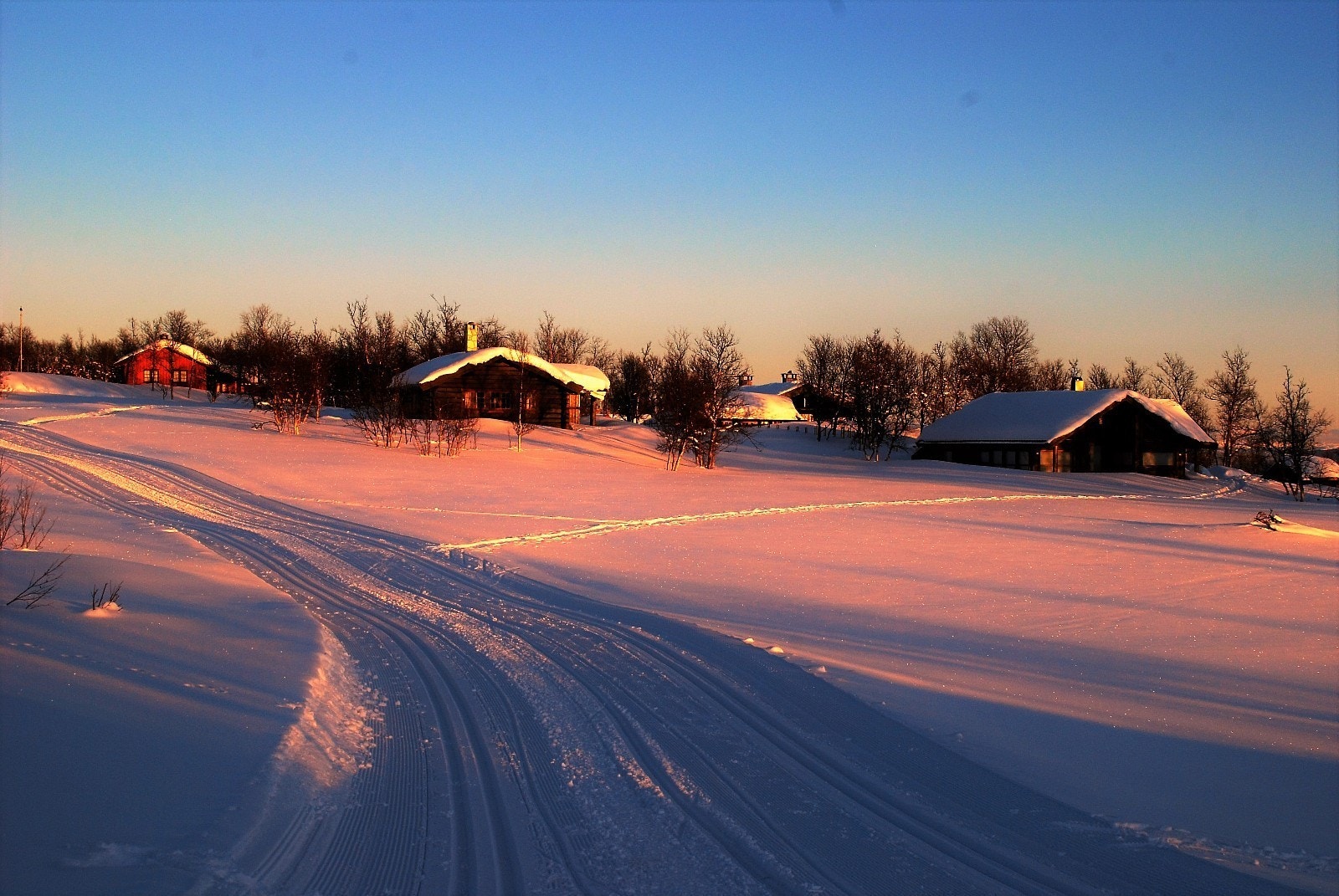 Kald februarkveld. Galleribilde