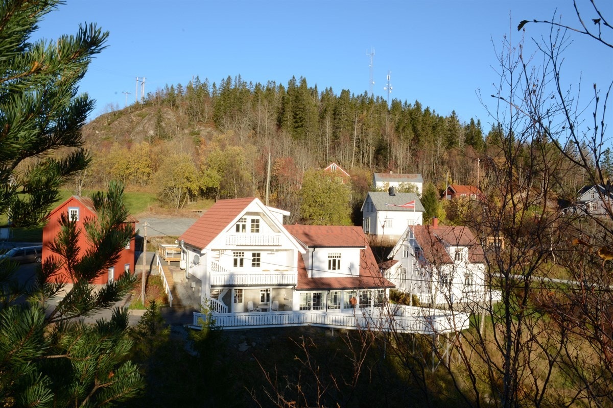 DSC_2131 Galleribilde