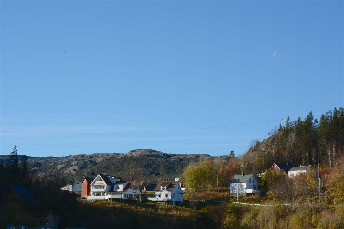 DSC_2267 kopi Galleribilde