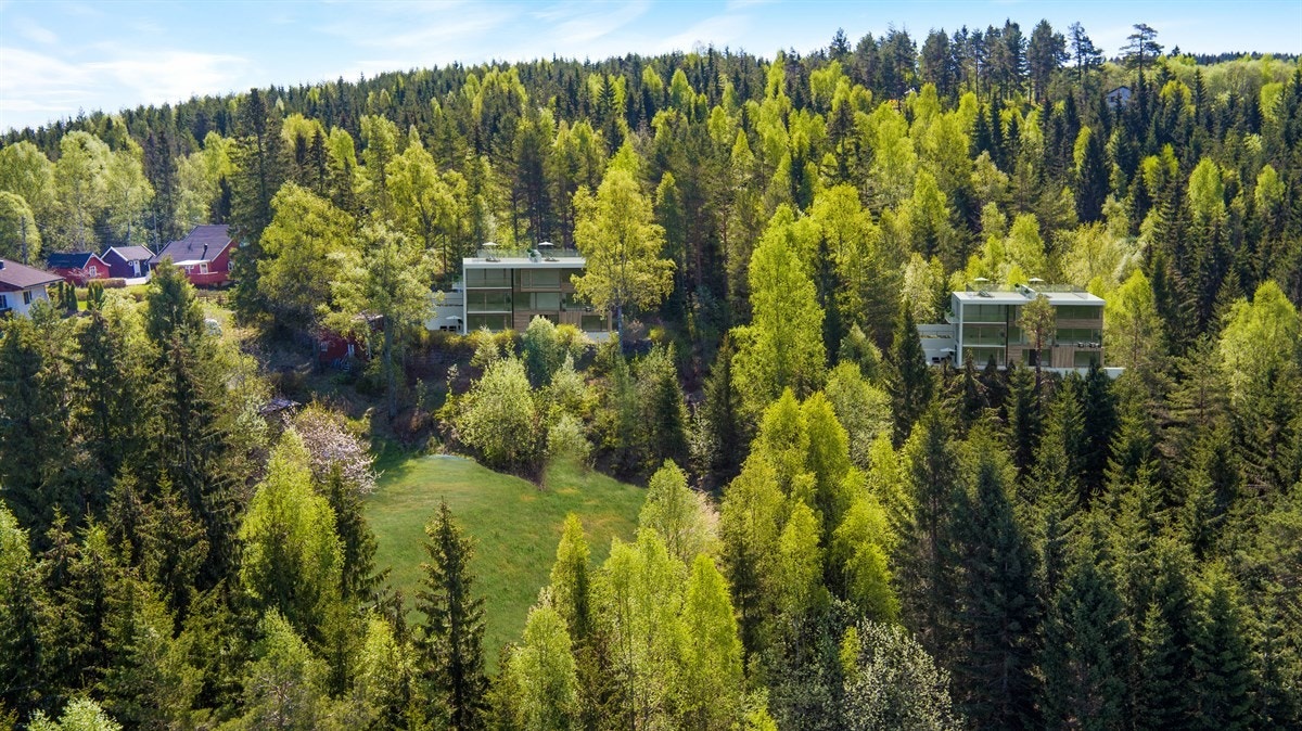 Dronebilde_1_v3 Galleribilde