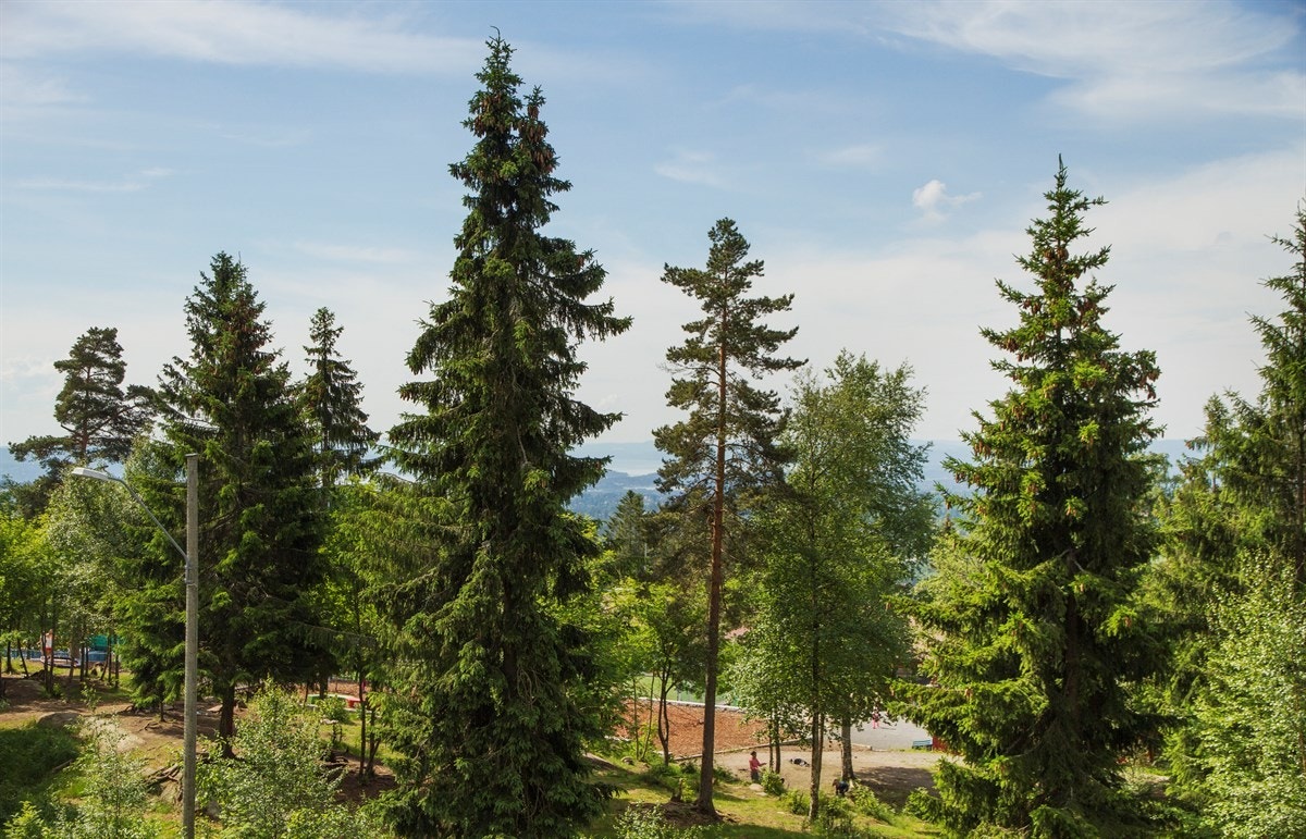 Utsikt fra leiligheten Galleribilde