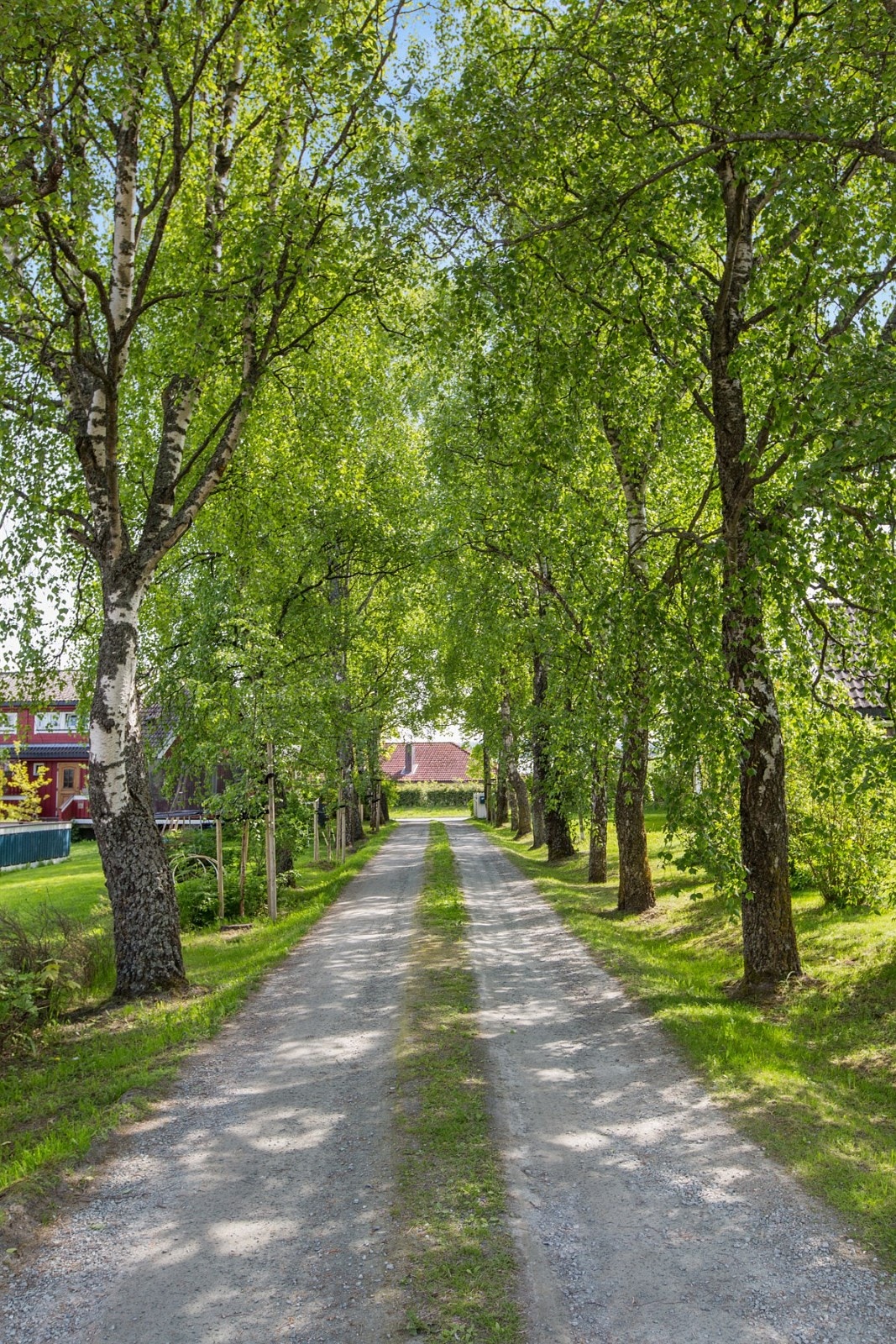 PROA Eiendomsmegling - Adkomsten til dette boligtunet er prydet av en godt bevart og ærverdig bjørkeallé. Galleribilde