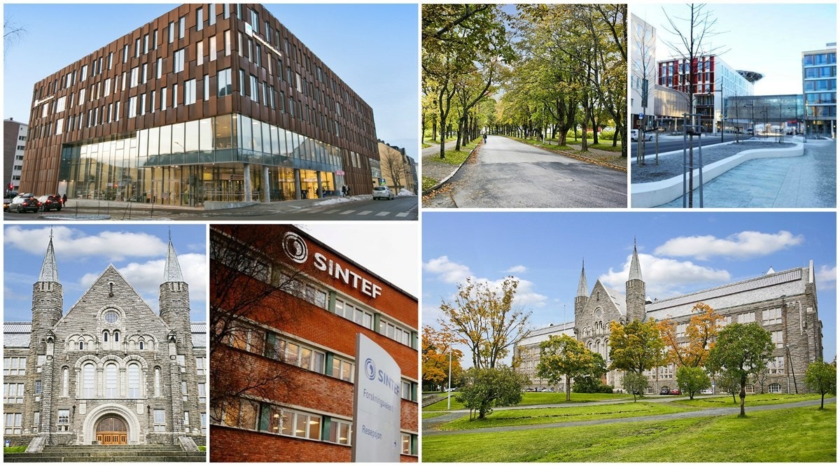 PROA Eiendomsmegling - Fra boligen er det svært kort vei til de fleste studiesteder, herunder bl.a. nye Handelshøyskolen i Trondheim, NTNU Gløshaugen, Sintef og St. Olavs hospital. Galleribilde