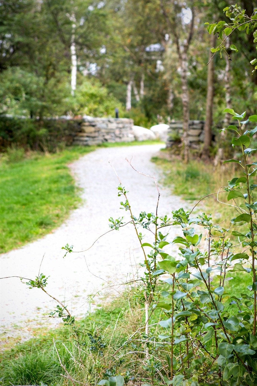 Turområde Galleribilde