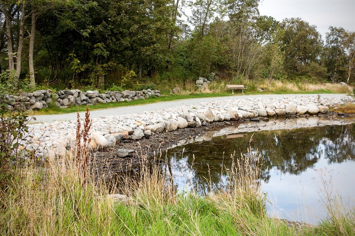 Turområde Galleribilde