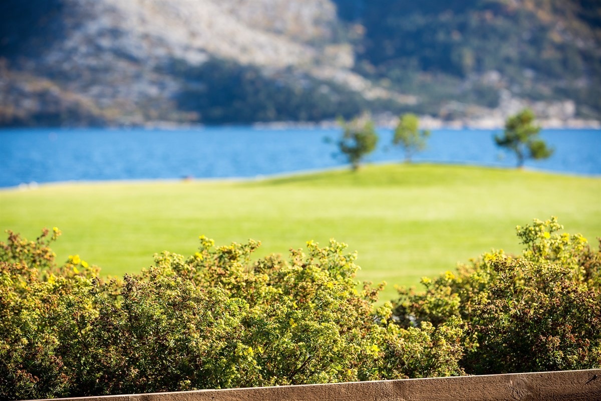 Nærområde Galleribilde