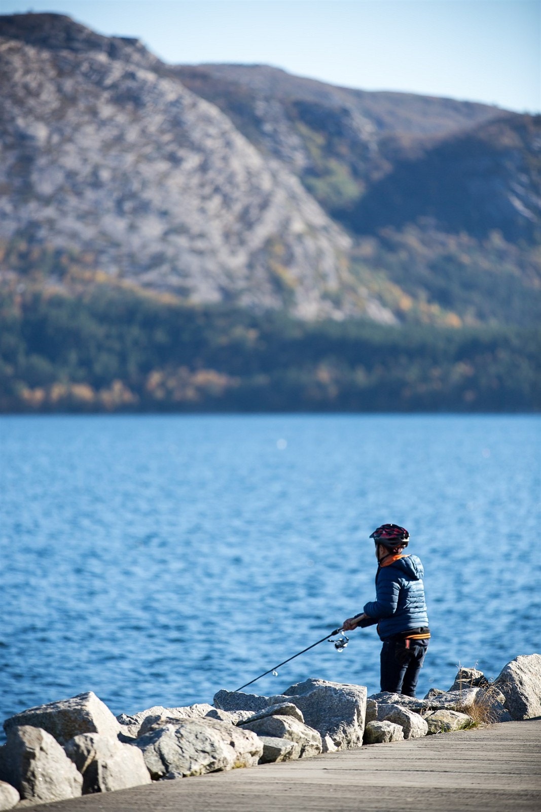 Nærområde Galleribilde
