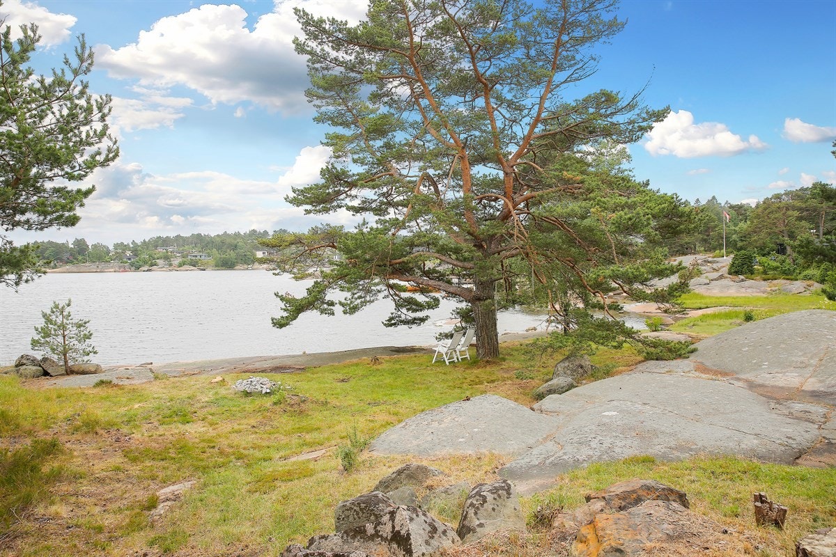 08utsikt Galleribilde