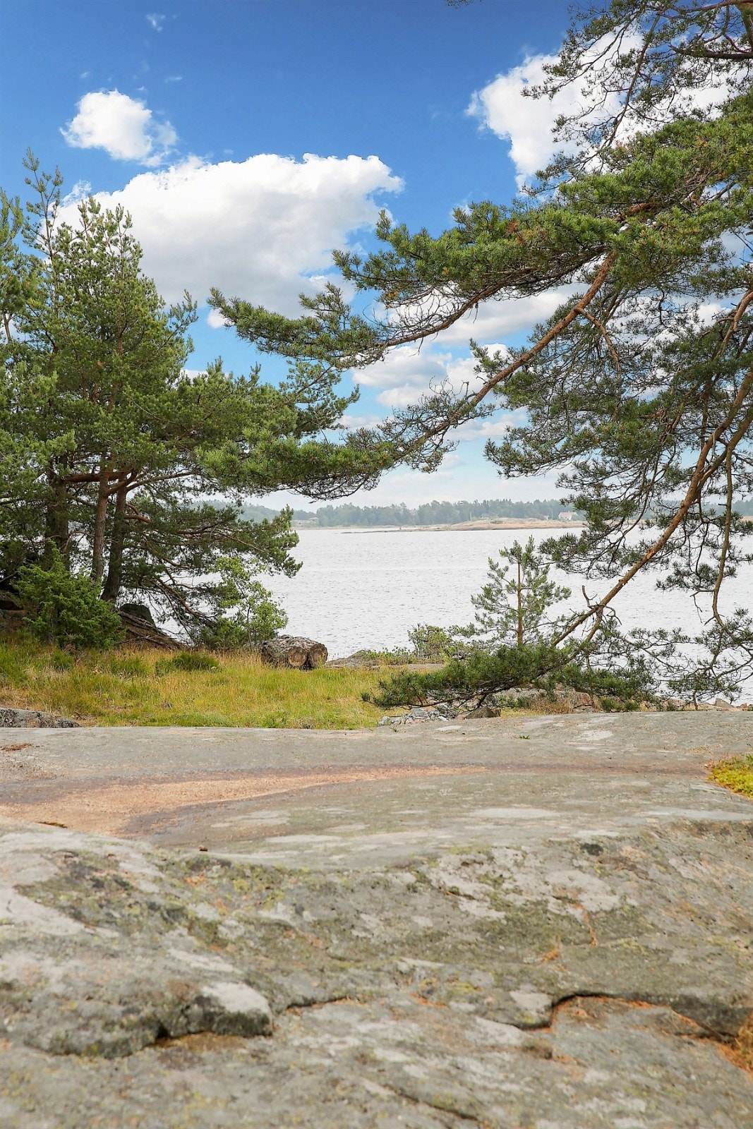 11utsikt Galleribilde