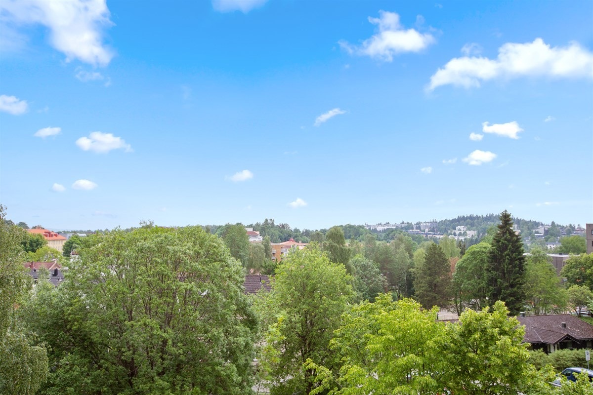 Nydelig fritt utsyn over nærområdet. Galleribilde