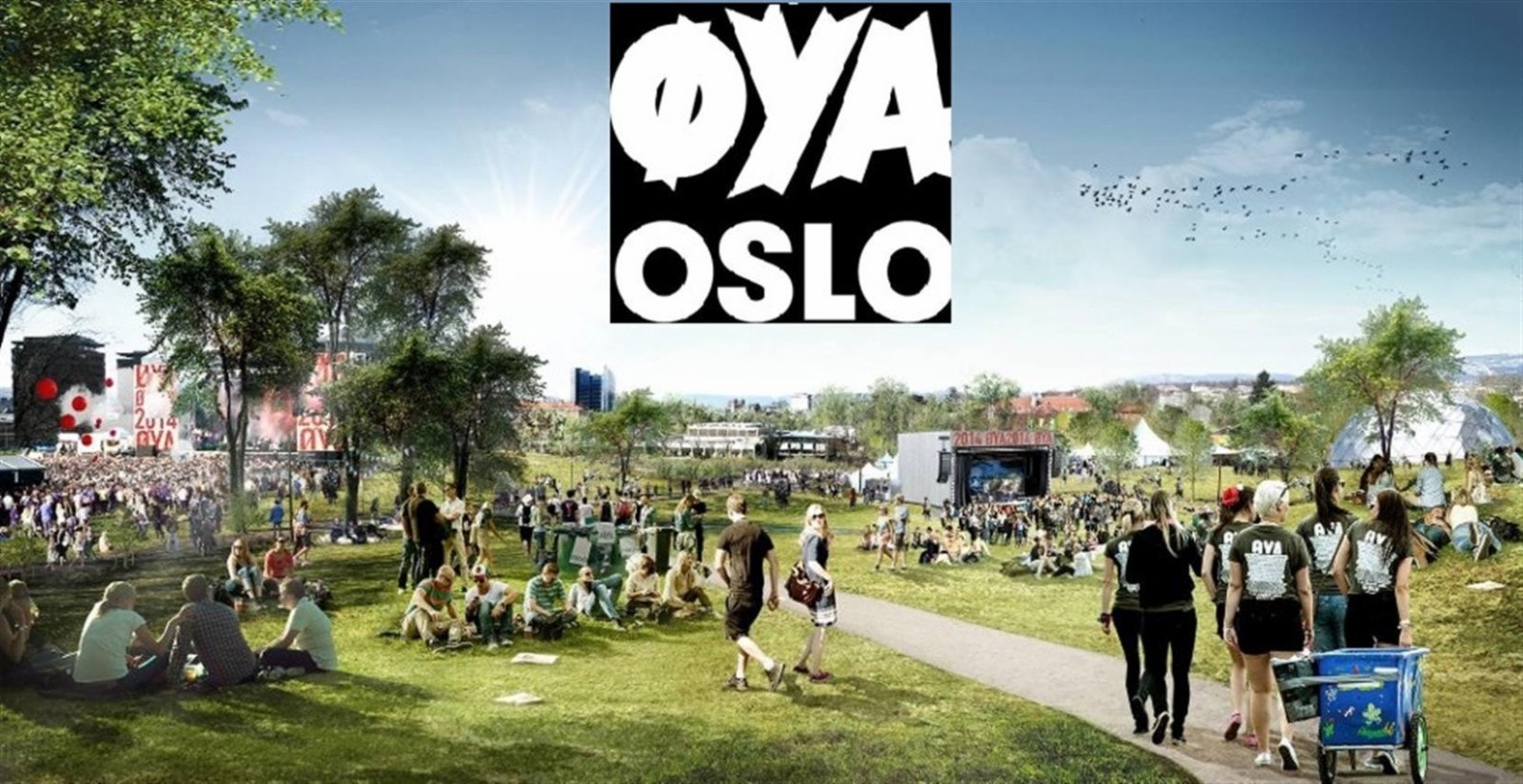 Nærområdet Øyafestivalen 5 min unna. Galleribilde