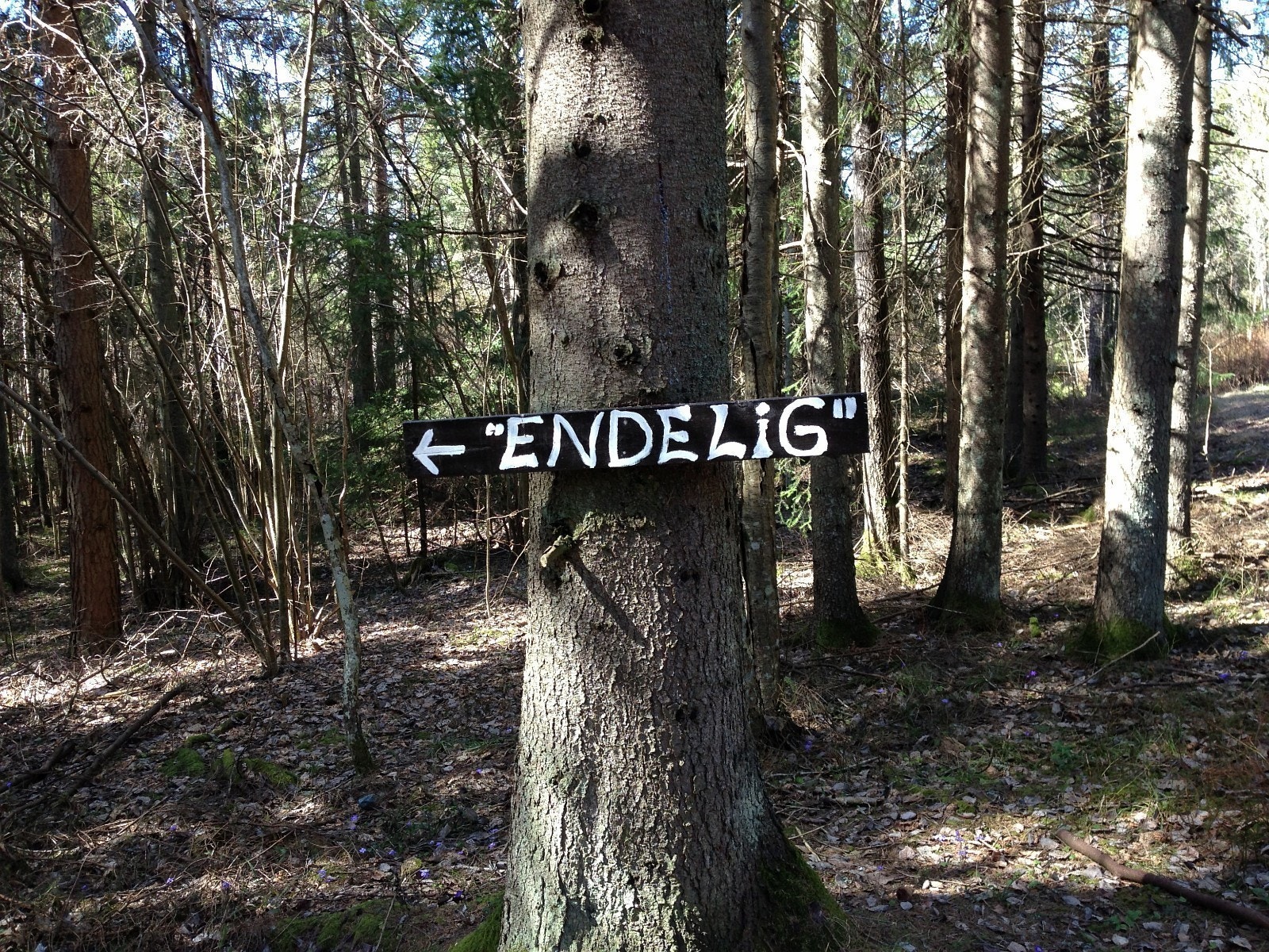 Velkommen til Endelig Galleribilde