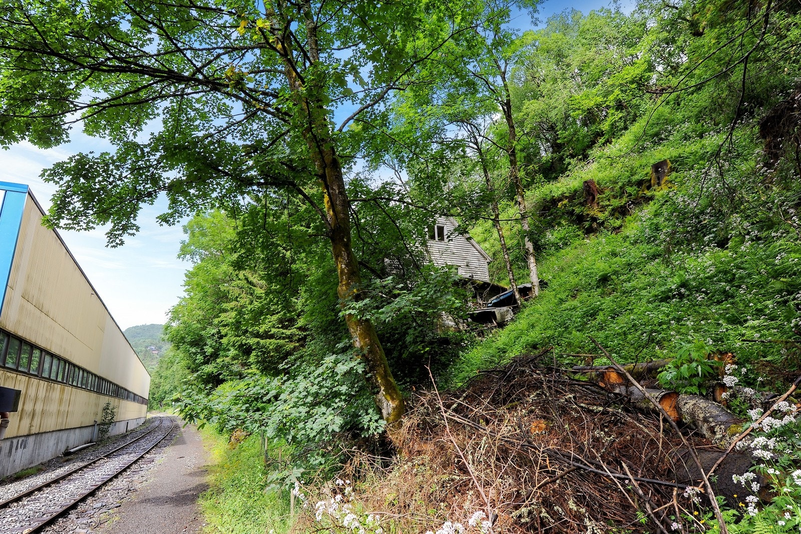 Områdebilde Galleribilde