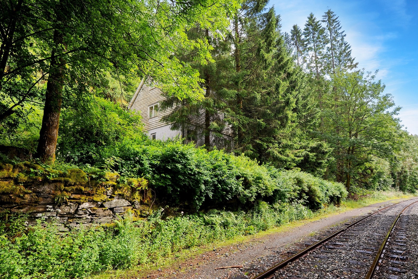 Områdebilde Galleribilde