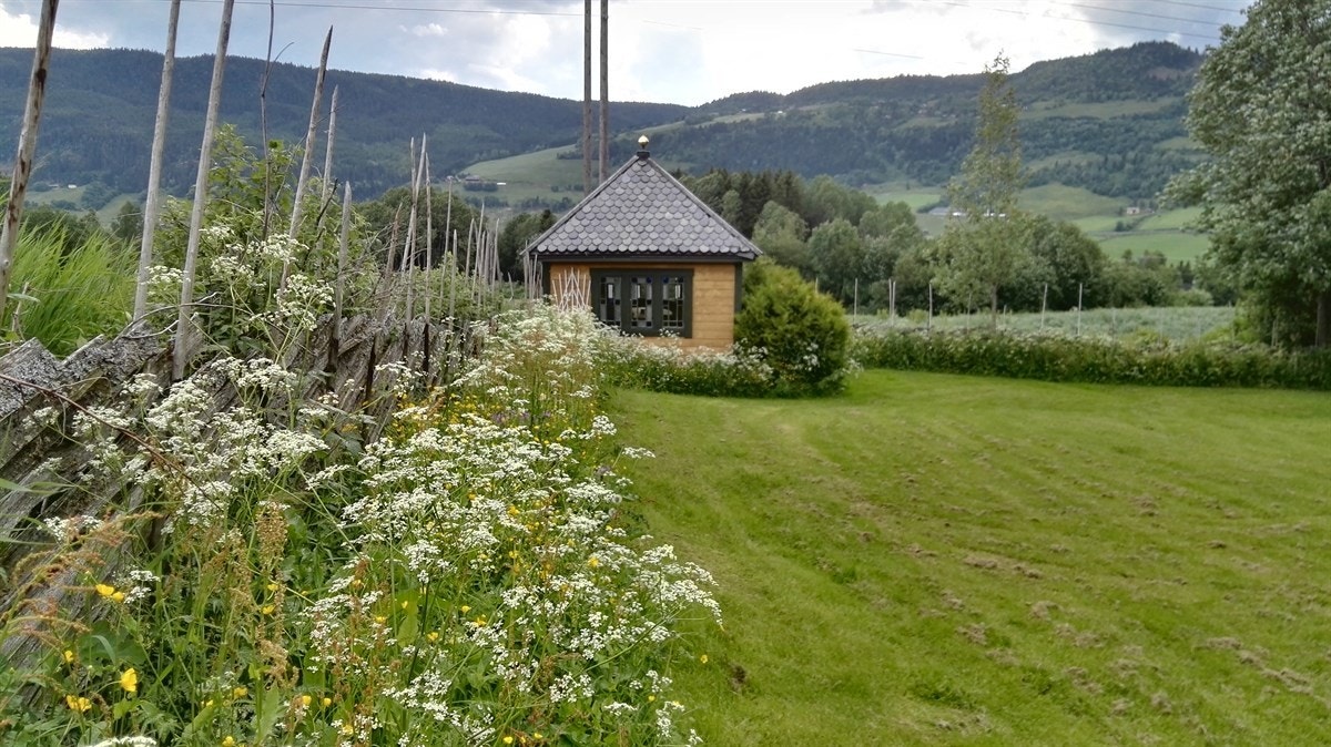 Stemning 4 Galleribilde