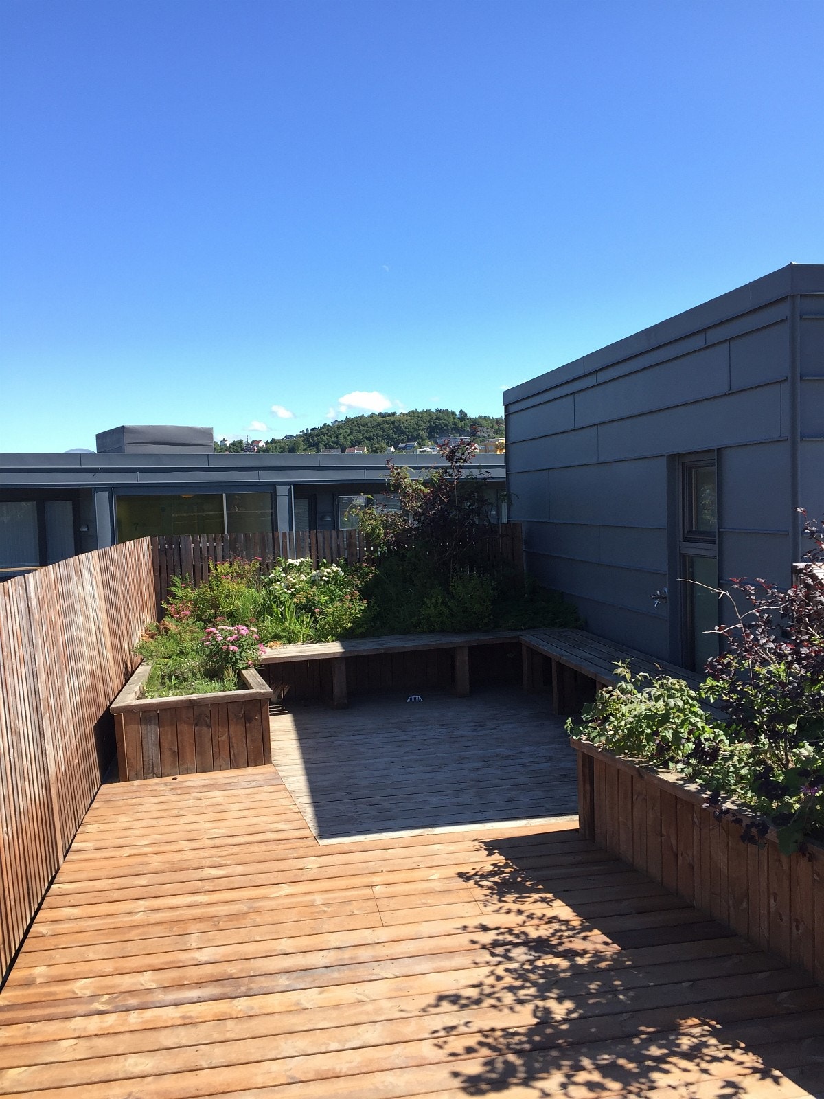 Felles takterrasse med fantastisk solforhold og utsikt Galleribilde