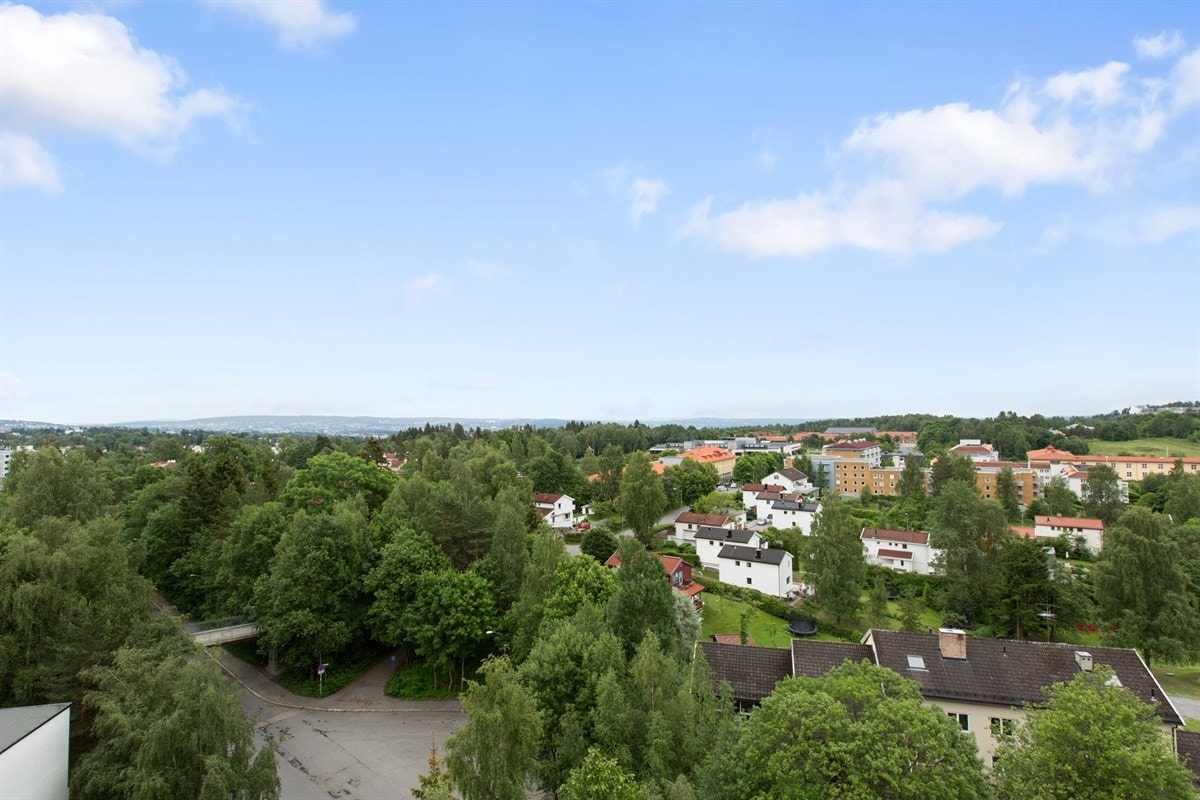 Utsikt | Galleribilde