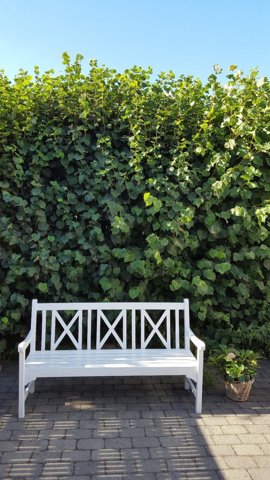 Fra uteplass Galleribilde