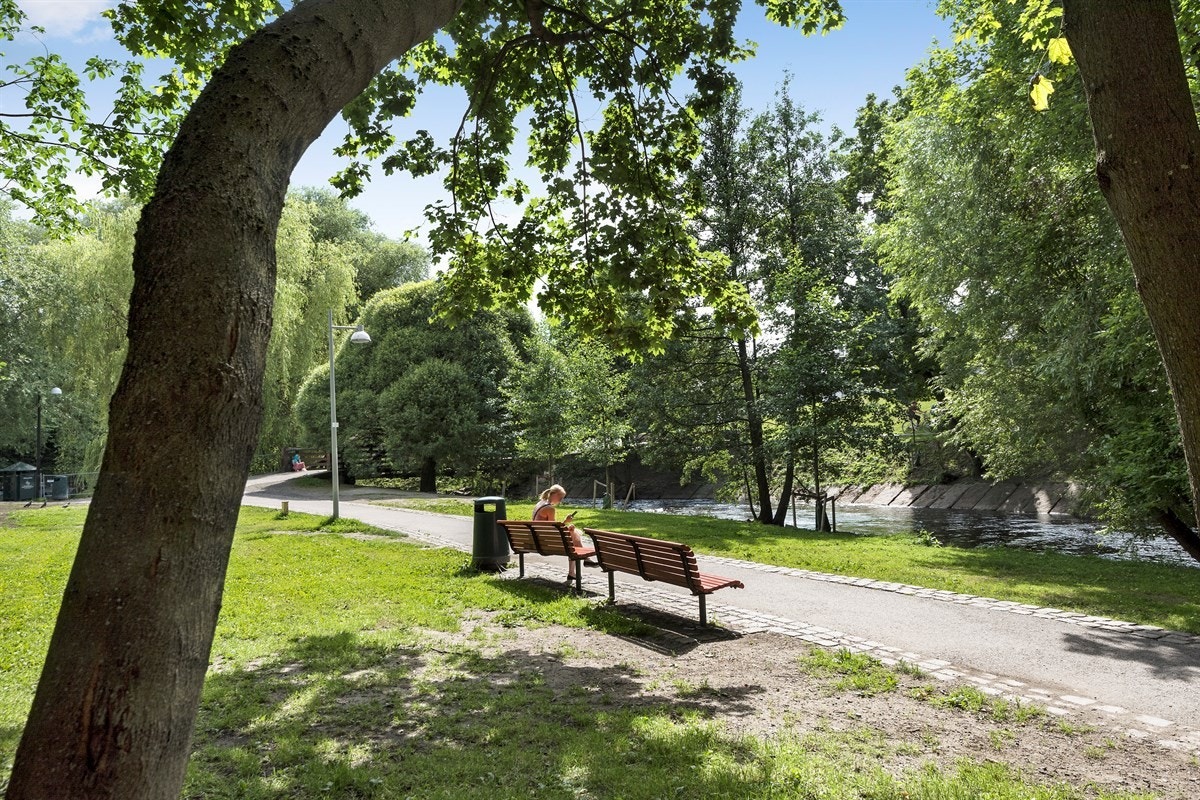 Nærområdet Galleribilde