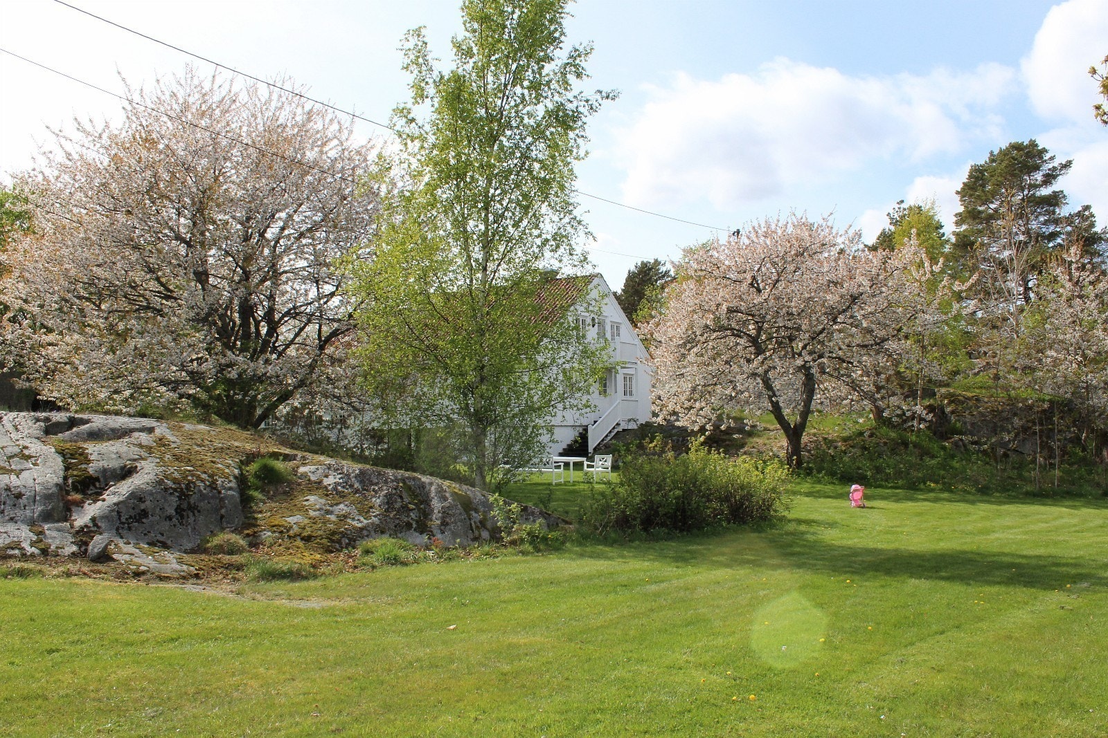 Flekken-Ågerøya - Vårblomstring. Galleribilde