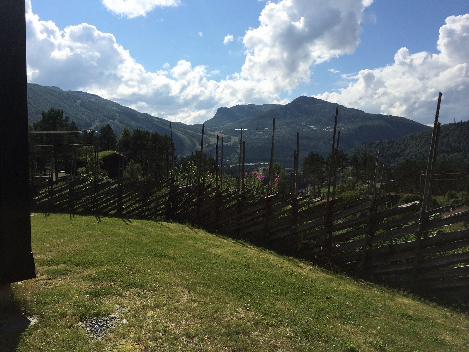 Uteområde rundt hytta. Galleribilde