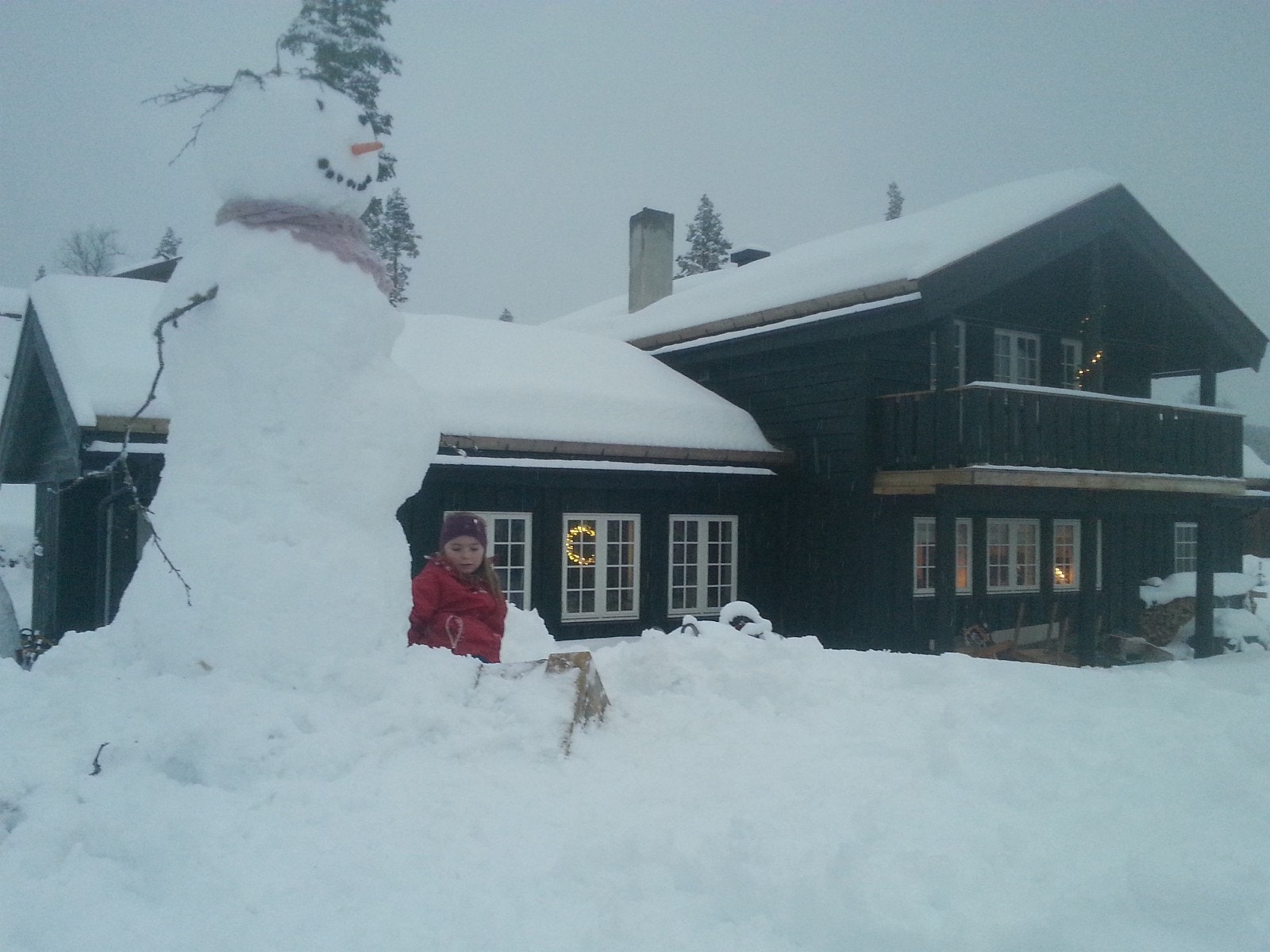 Nov. 2013 Galleribilde