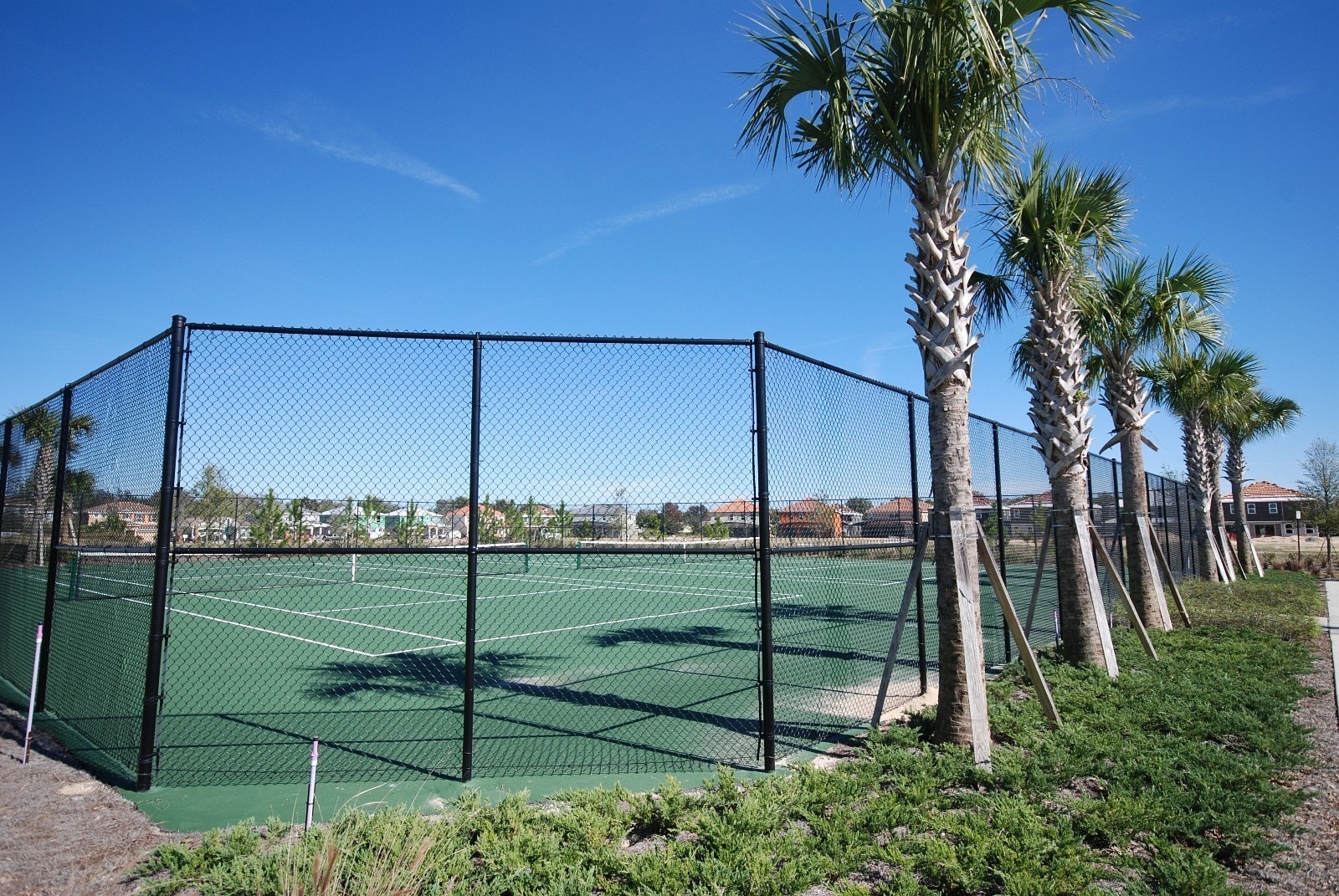 Tennisbaner Galleribilde